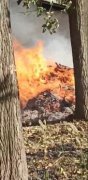 澳门新濠天地赌场_澳门新濠天地网址_澳门新濠天地网站_
亦未造成重大财产损